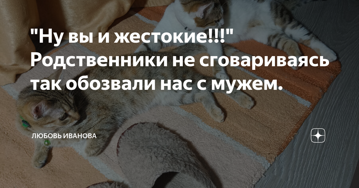 Если вас по телефону обозвали дураком и не стали ждать ответа бросив трубку на рычаг