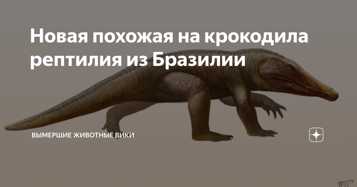 Машина похожая на крокодила