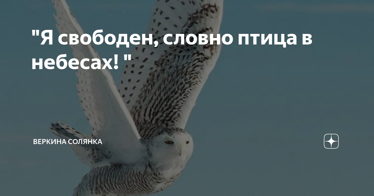 Словно птица в небесах я забыл. Свободен словно птица в небесах. Словно птица в небесах. Словно птица в небесах я забыл. Стоша говнозад скрипка лиса.