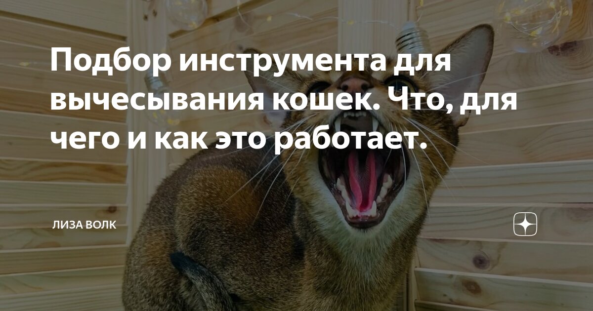 Подбор инструмента для вычесывания кошек. Что, для чего и как это ...