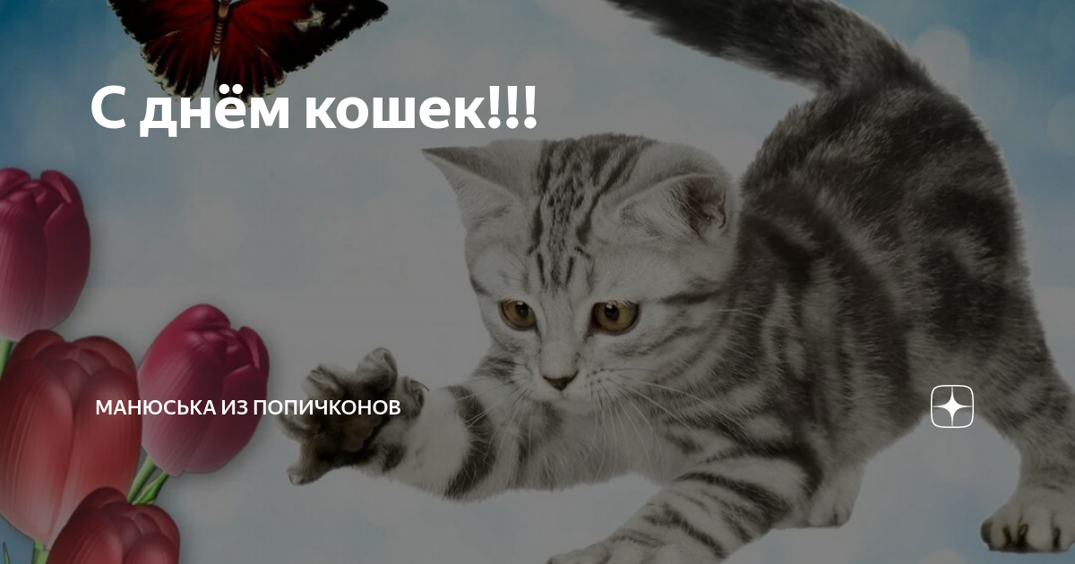 Манюська из попичконов телеграм канал