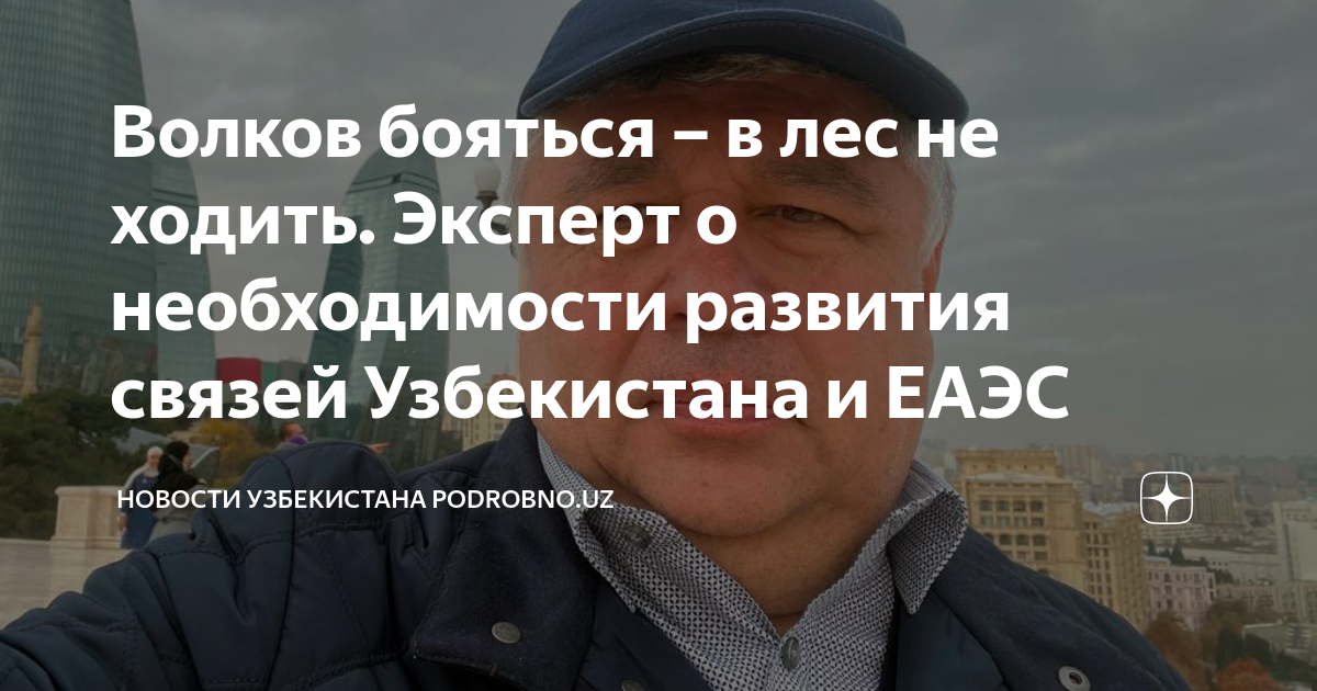 Волков бояться – в лес не ходить. Эксперт о необходимости развития ...