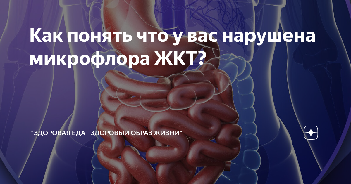 Болит вздутый кишечник. Гормоны кишечника. Нарушение микрофлоры кишечника. Микробиота кишечника ребенка
