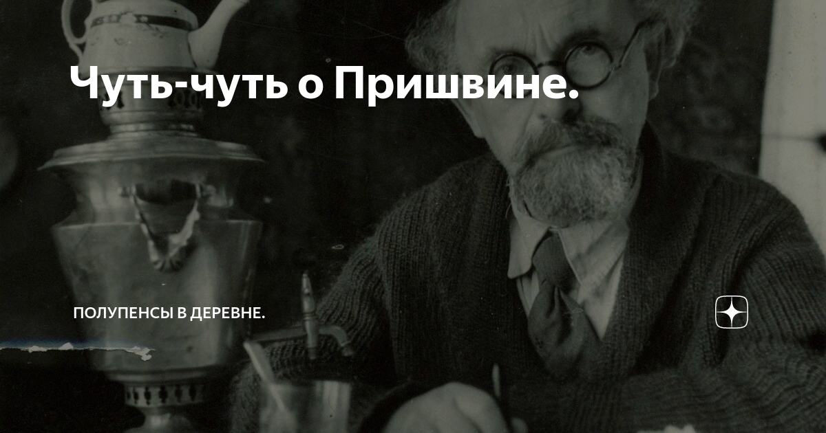 Чуть-чуть о Пришвине. | Полупенсы в деревне. | Дзен