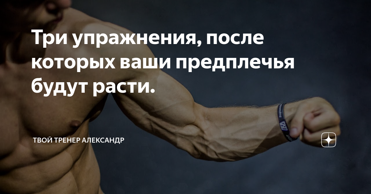 Три упражнения, после которых ваши предплечья будут расти. | Твой ...