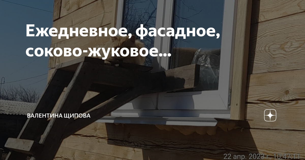 Ежедневное, фасадное, соково-жуковое... | Валентина Щипова. Веселая ...