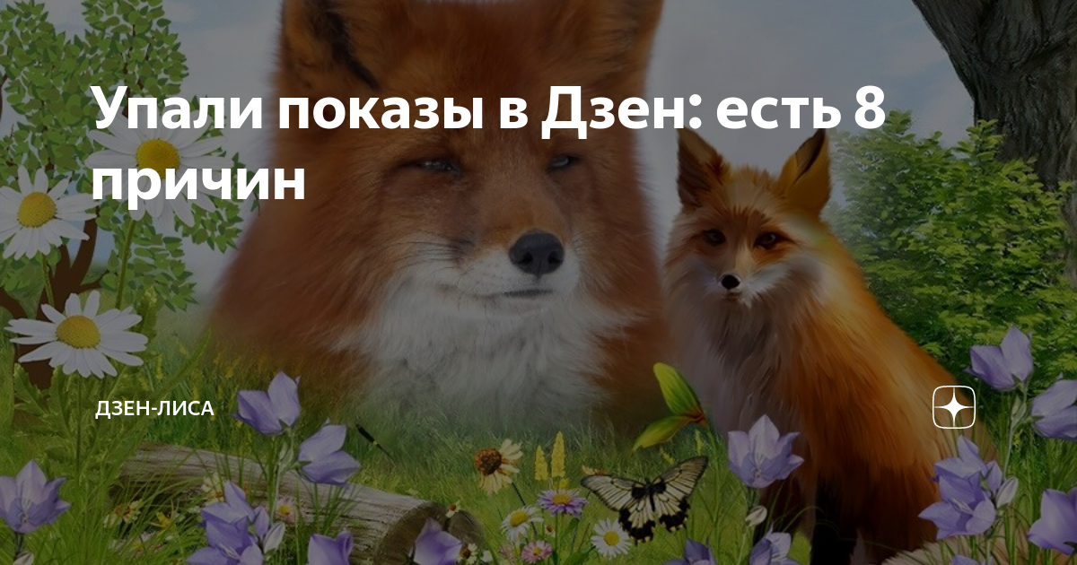 свекор северный лис дзен. альпака в позе лотоса. лиса дзен. северный лис дзен. внимательный лис дзен.