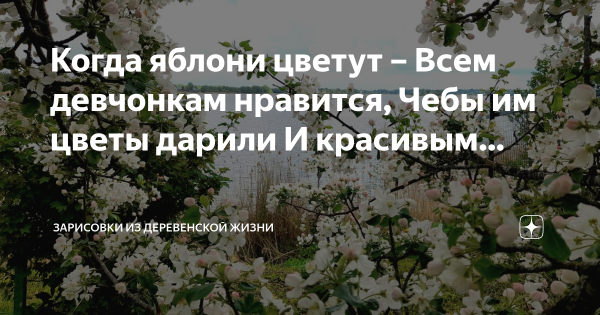 Когда яблони. Когда яблони цветут всем девчонкам Нравится. Чтобы яблони цвели всем девчонкам Нравится. Жизнь красивая цветение.