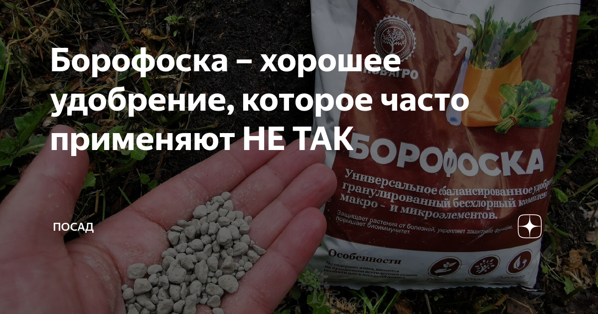 Борофоска – хорошее удобрение, которое часто применяют НЕ ТАК | Посад ...