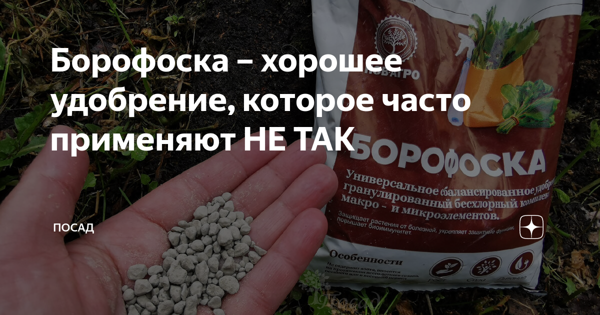 Борофоска удобрение применение на огороде. Семена люцерны Джеа Gea. Замачивание семян в янтарной кислоте. Замачивание семян в янтарной кислоте перед посадкой. Янтарная кислота для рассады.