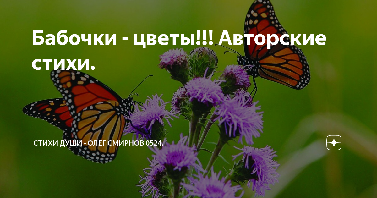 Словно бабочка стихи. Притча о бабочке. Притча о бабочке и коконе. Урок бабочки притча видео. Восточная притча про бабочку.