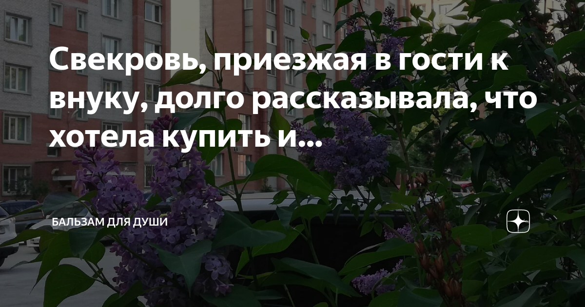 Свекровь, приезжая в гости к внуку, долго рассказывала, что хотела ...