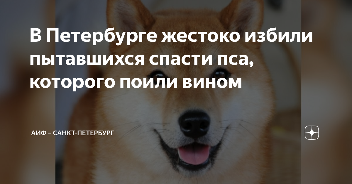 Жестокое обращение с животными. Обращение к животным. Жестокое обращение с животными детьми статистика. Жесткое обращение с животными. Статья за жестокое обращение с животными.