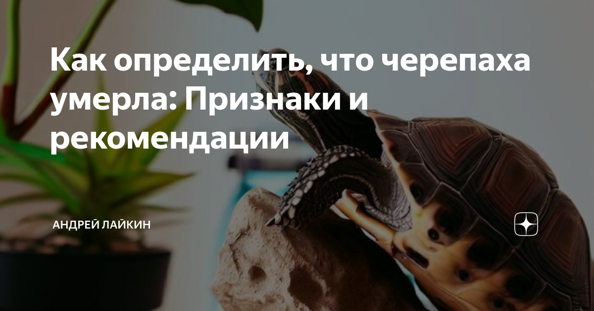 Неправильное питание