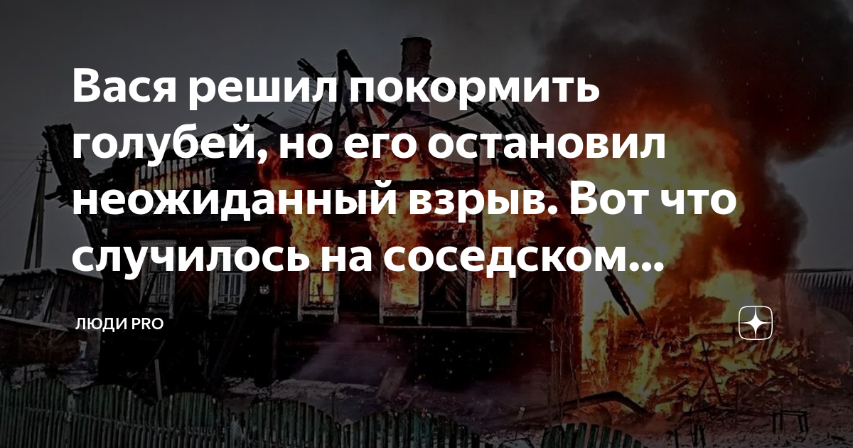 вася решил попробовать