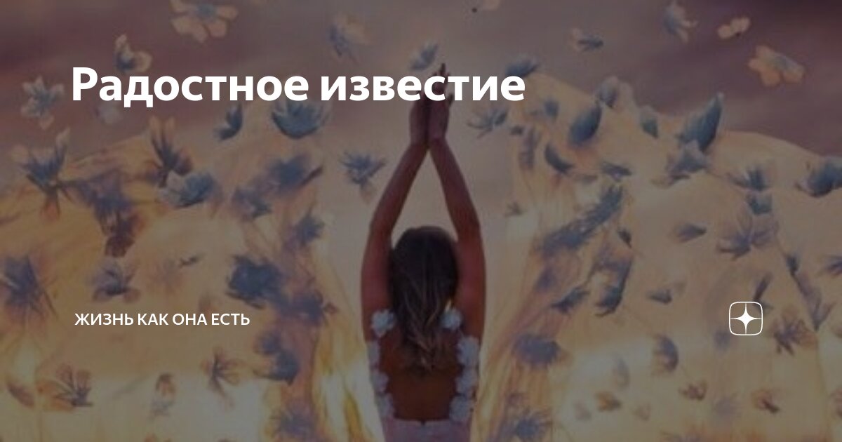 Радостное известие | Жизнь как она есть | Дзен