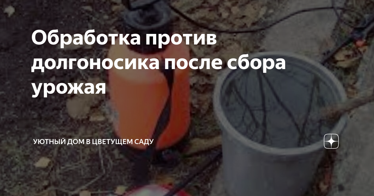 Обработка против долгоносика после сбора урожая | Эффективно и просто ...