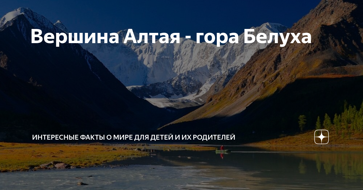 Ооо мкк вершина алтая