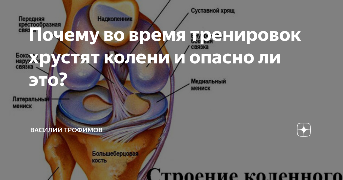 От чего хрустят суставы. Почему хрустят кости во всем теле. Хруст в суставах по всему телу причины