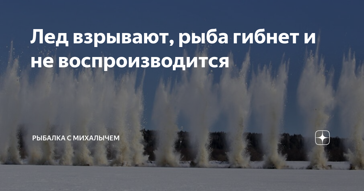 мексиканский залив катастрофа 2010 последствия. рыбалка взрыв. рыба в пакете в микроволновке. мертвая рыба на берегу. глушение рыбы динамитом.