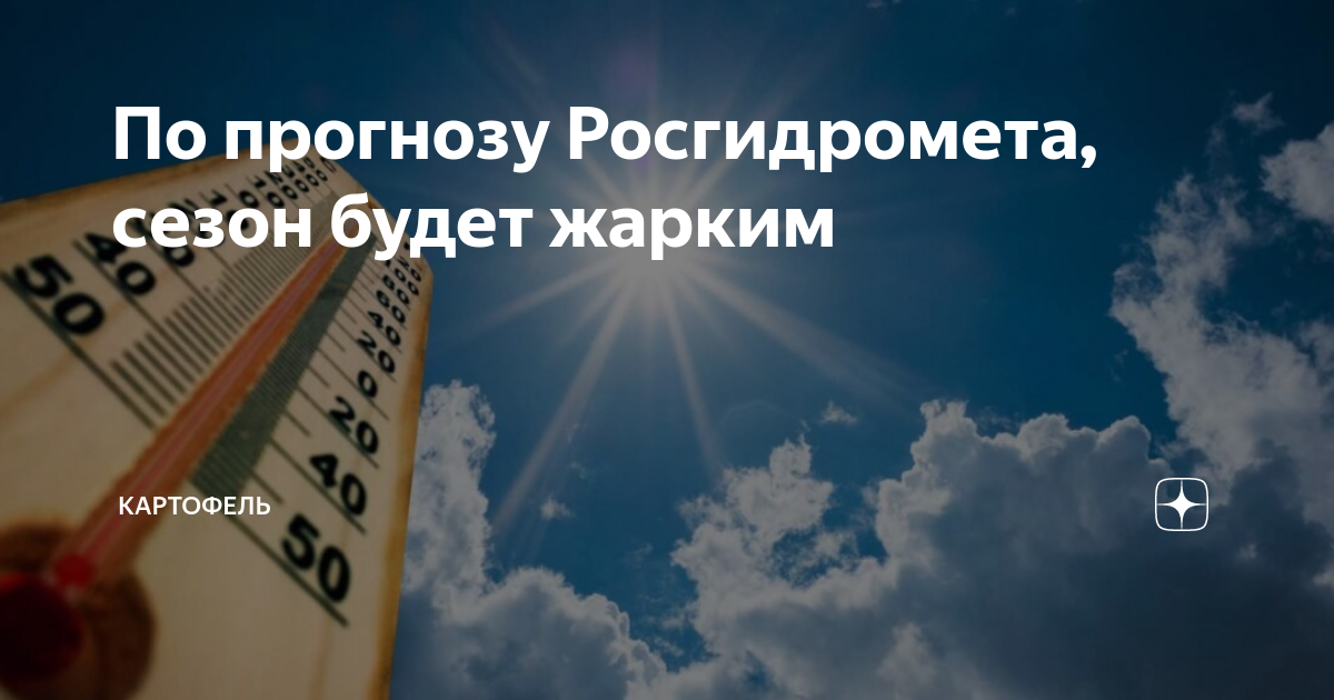 По прогнозу Росгидромета, сезон будет жарким | ЭКСКЛЮЗИВНОЕ ИНТЕРВЬЮ | Дзен