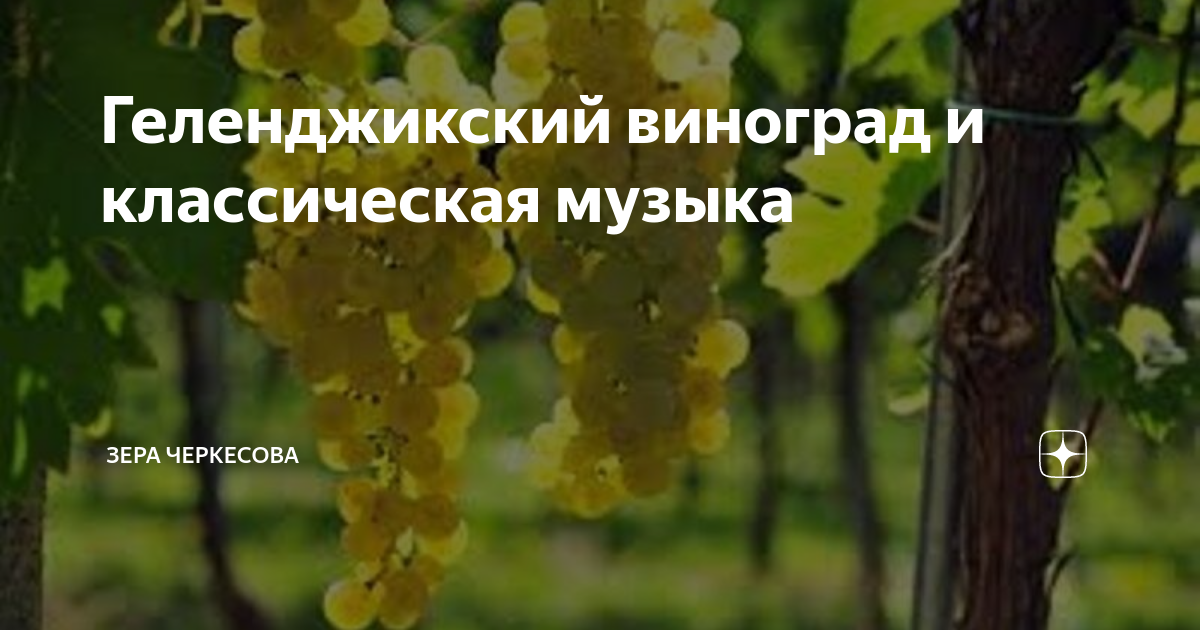 Зер песни