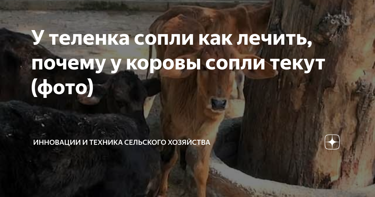 Сопли текут как вода у взрослого что делать и чихает — Статьи об онкологии