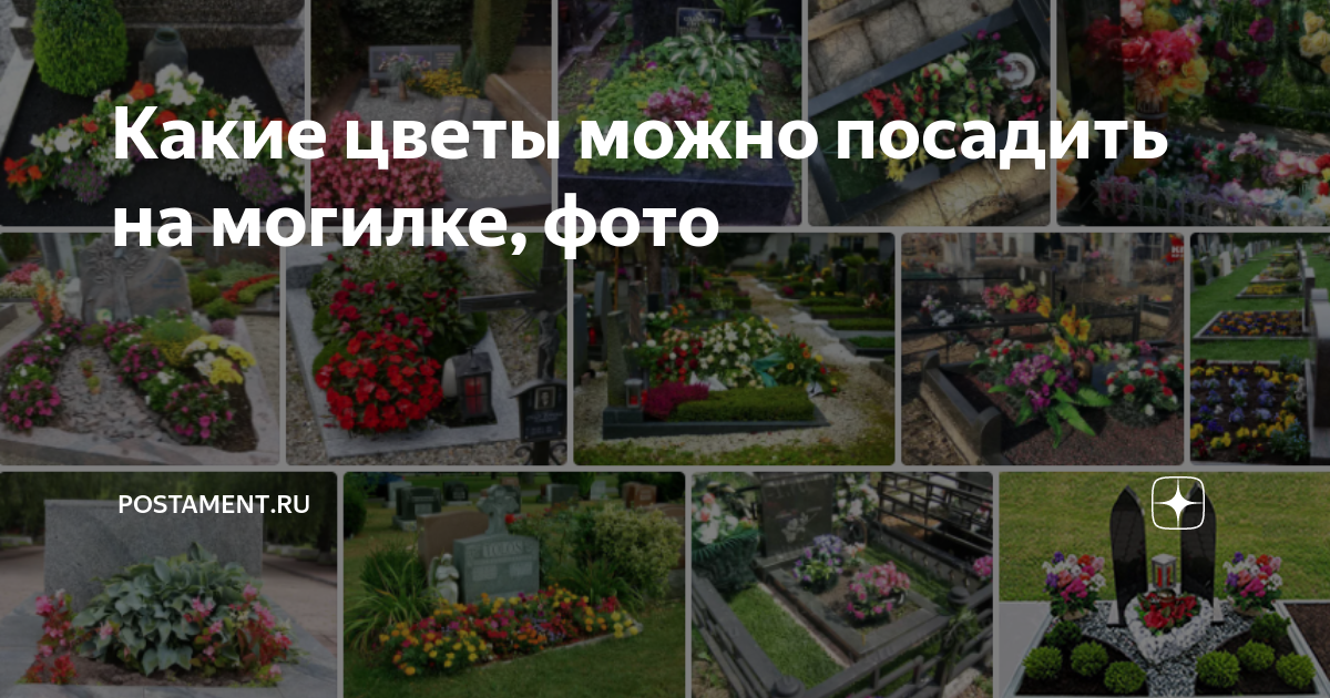 Какие цветы можно посадить на могилке, фото | Postament.ru | Дзен