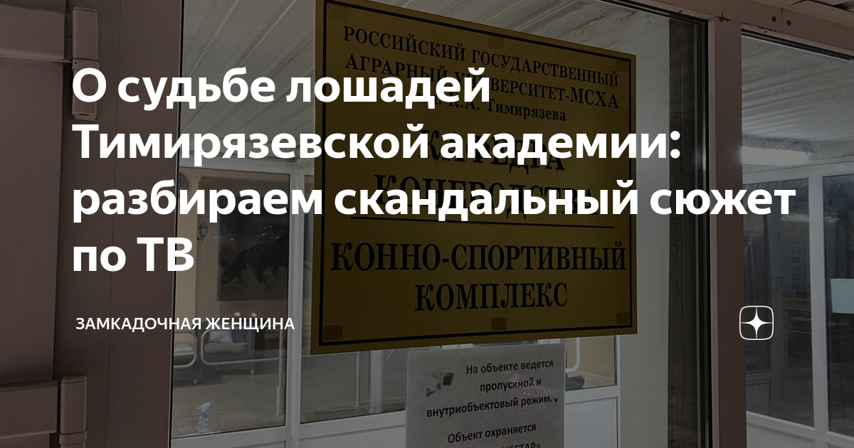 О судьбе лошадей Тимирязевской академии: разбираем скандальный сюжет по ...
