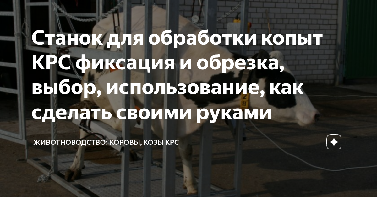 Купить станки для обработки копыт КРС, передвижные по низкой цене в Украине — Хорошун и Ко