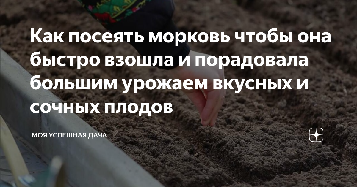 Посадка моркови весной в открытый грунт. Посадка моркови на ленте в открытый грунт. Как посадить морковь чтобы быстро взошла весной. Посев семян моркови флакке. Семена на грядке.