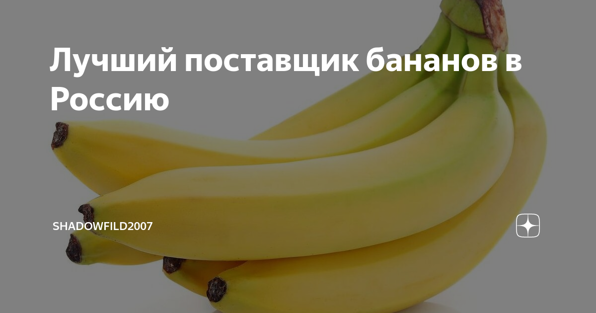 Лучший поставщик бананов в Россию | Shadowfild2007 | Дзен