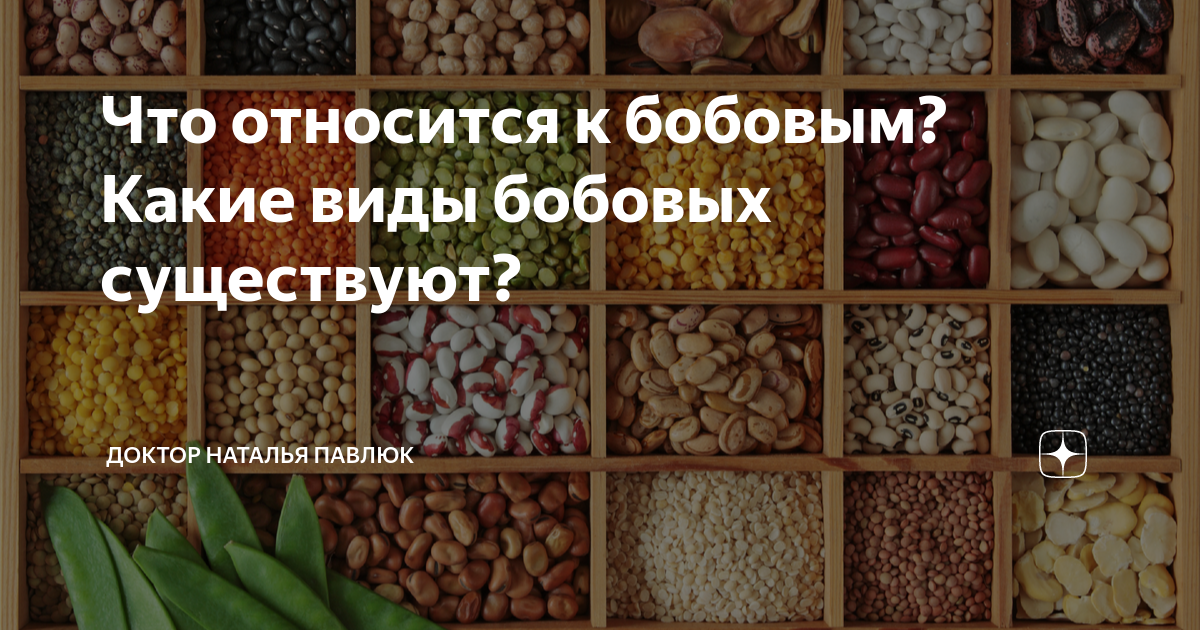 Что не относится к бобовым культурам. Что относится к бобовым. Бобовые это какие продукты. К бобовым относятся из продуктов. Что не относится к бобовым.