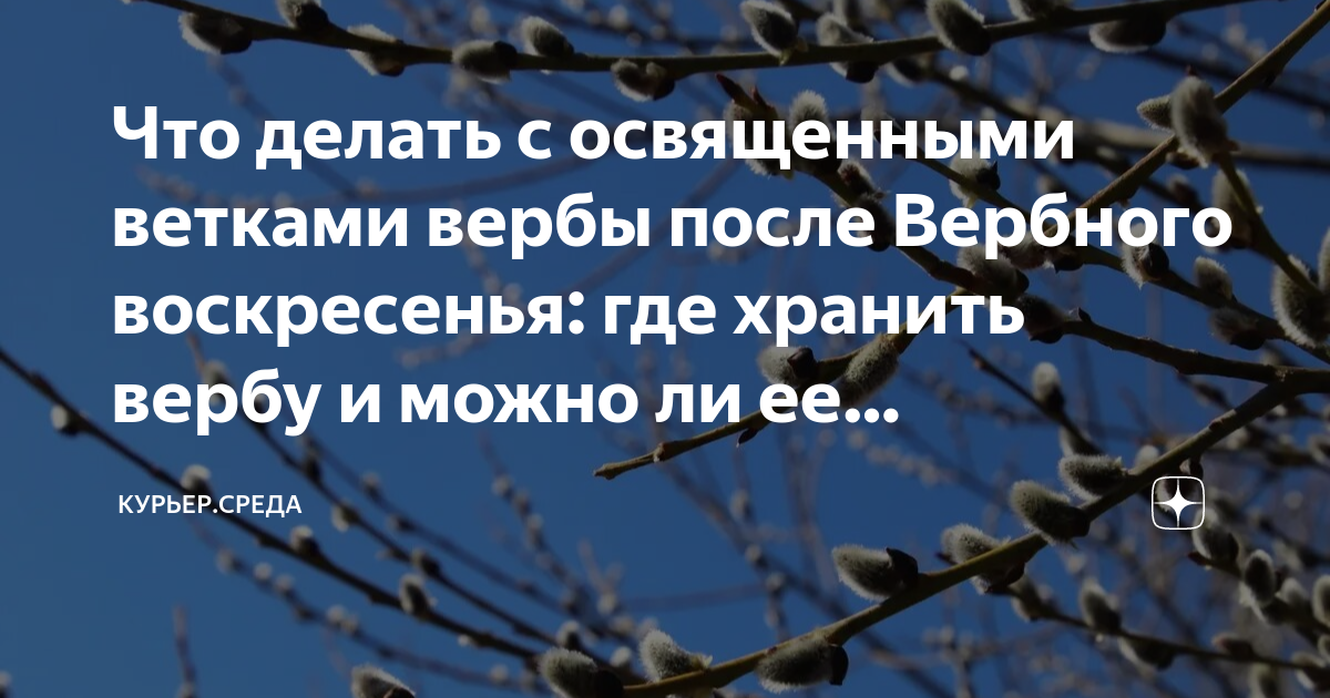 Можно ли после вербного воскресенья убираться дома. Пальмовые ветви на Вербное воскресенье. Вербное воскресенье люди. Веточка вербы с Вербным воскресеньем. Веточка вербы с праздником.