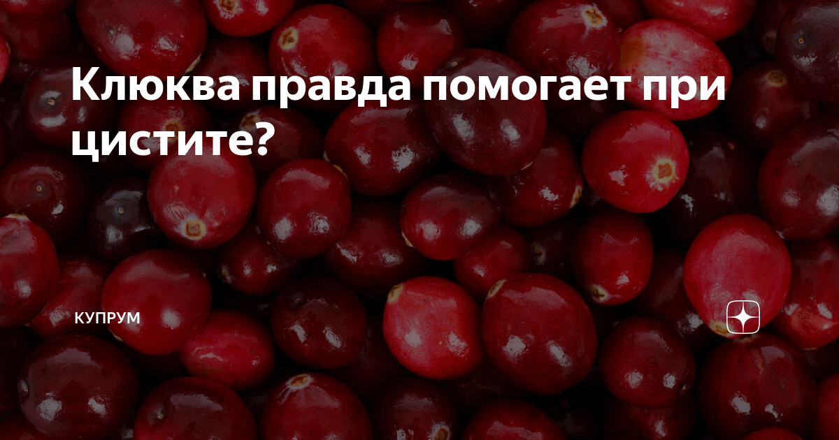 Польза клюквы от цистита, как принимать ягоду, рецепты морса, настоя и настойки