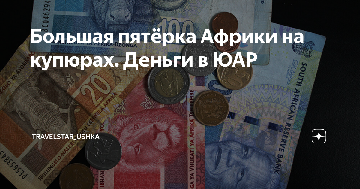 Большая пятёрка Африки на купюрах. Деньги в ЮАР | travelstar_ushka | Дзен