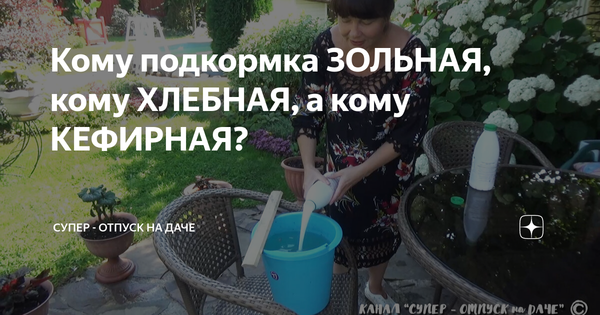 Супер отпуск на даче в телеграмм канале. Отпуск на даче дзен. Супер - отпуск на даче. Супер отпуск на даче дзен. Супер отпуск на даче последнее.