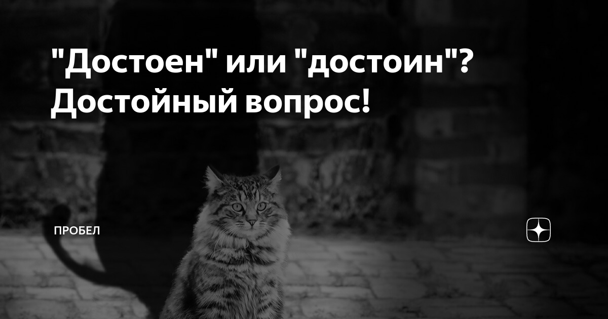 "Достоен" или "достоин"? Достойный вопрос! | ПРОБЕЛ | Дзен