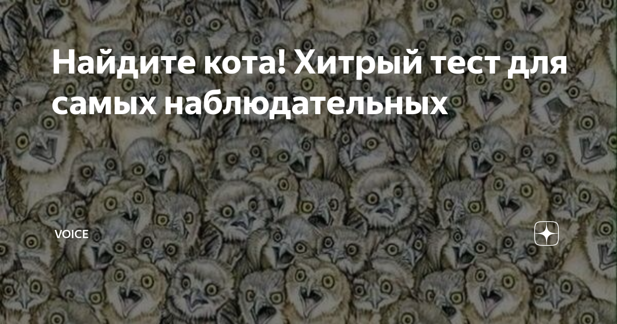 Найти кота среди сов картинка ответ на загадку