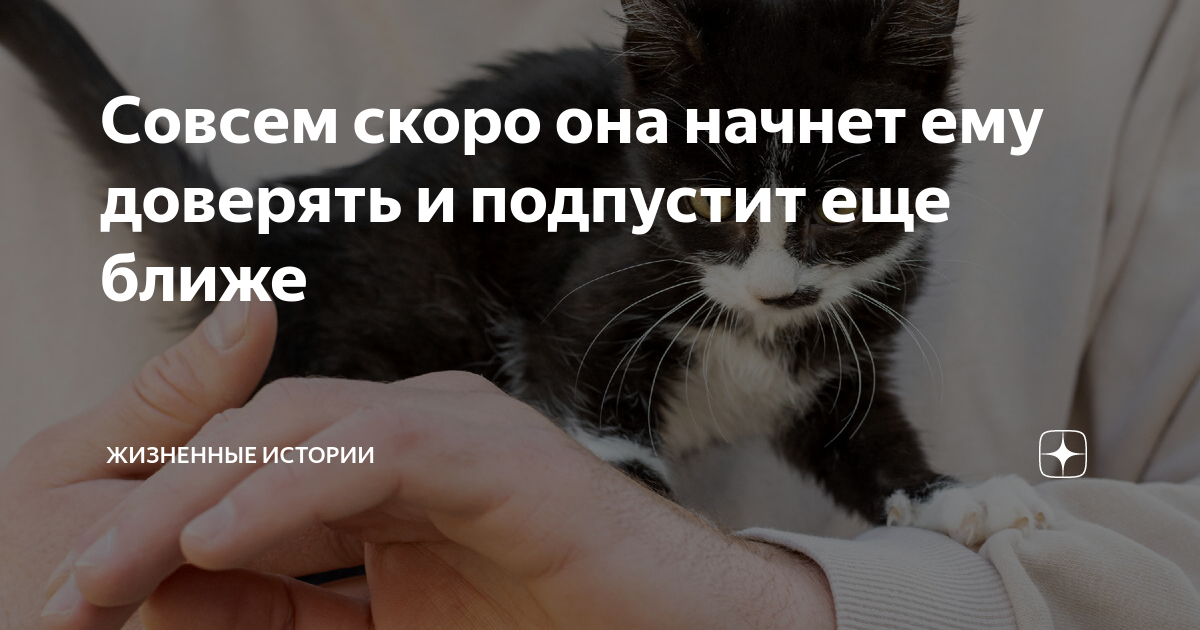Как по английски фольксваген
