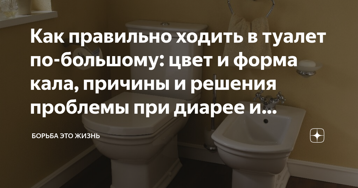 Как правильно сходить по большому. Хожу в туалет по большому несколько раз в день причины. Моя жена ненавидит когда я работаю дома Бэнкси. Как выглядит туалет. Как устроен туалет в самолете.