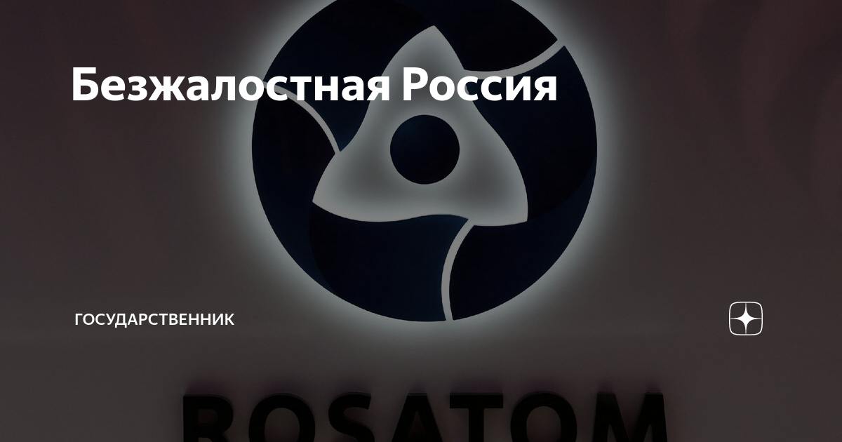 Государственник дзен