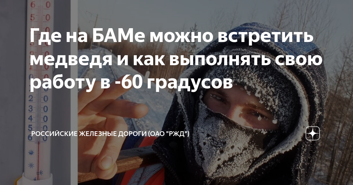 Где на БАМе можно встретить медведя и как выполнять свою работу в -60