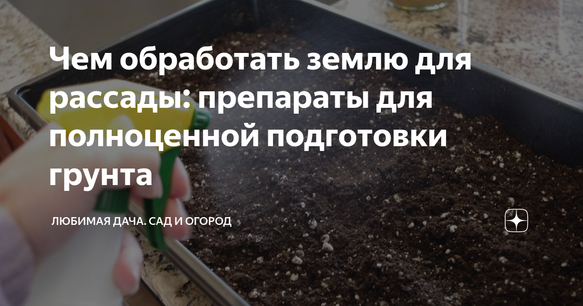 Чем обработать землю для рассады: препараты для полноценной подготовки ...