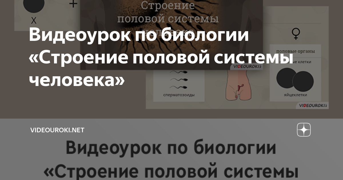 Нормальные показатели спермы