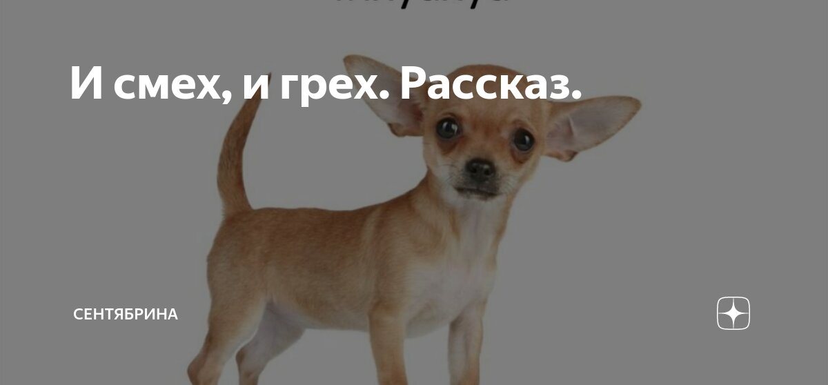 и смех и грех приколы