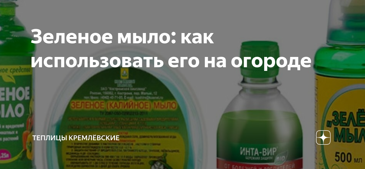 Как использовать зеленое мыло. Паутинный клещ зеленое мыло. зеленое мыло для огорода как пользоваться. как использовать зеленое мыло для тату.