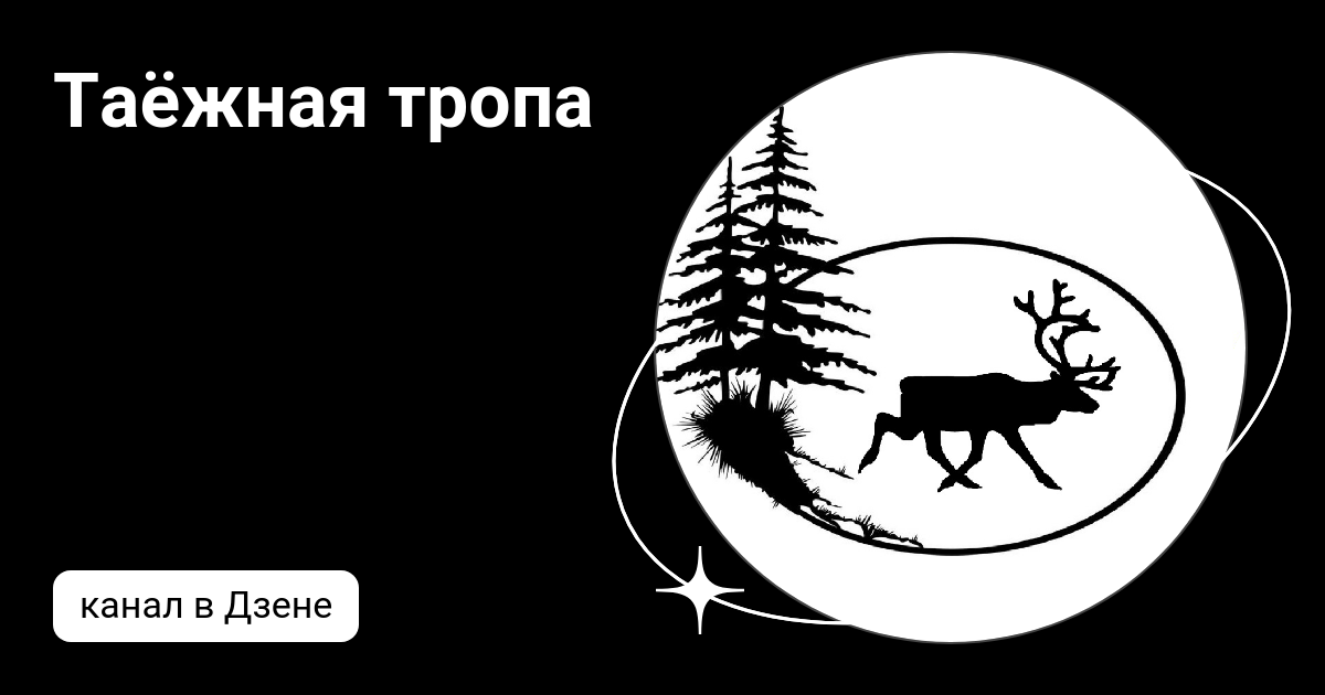 Таежными тропами дзен 93. Таежная тропа. Канал. Таёжная тропа лёха. Таёжная тропа логотип. Комикс Оленьи тропы.