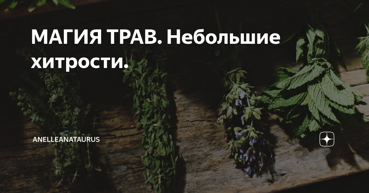 МАГИЯ ТРАВ. Небольшие хитрости. | AnelleanaTaurus | Дзен
