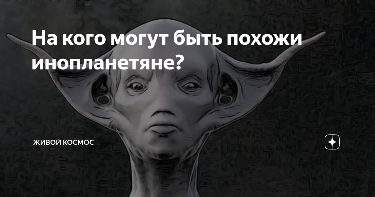 Что за дети похожие на инопланетян. Рождение ребенка от инопланетянина. Аблефарон-макростомии. Реальные встречи с инопланетянами. Что за дети похожие на инопланетян.